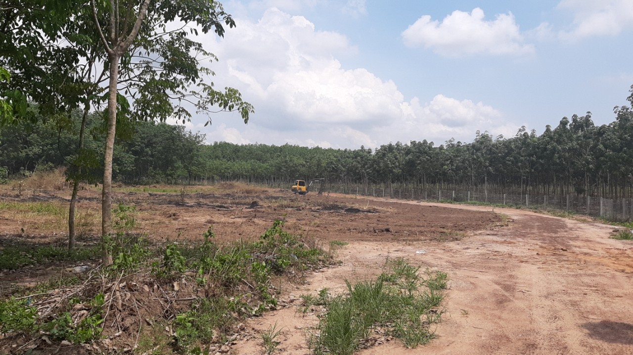 Cần bán gấp lô đất giá rẻ tại thị xã Bình Long , Bình Phước giá chỉ 295 triệu